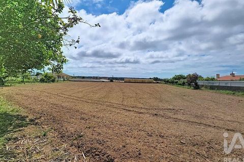 Byhus i Ovar, Aveiro, Ovar - € 280.000 | Ref: 922751 - foto 18