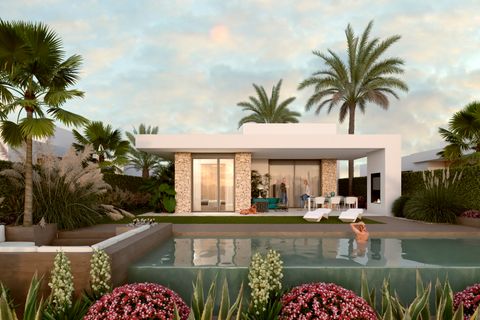 Villa i Algorfa, Alicante, Algorfa - € 1.800.000 | Ref: NB-48853 - foto 3