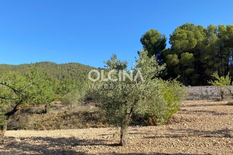 Villa a Ibi, Alicante, Ibi - € 178.000 | Ref: 478/6818 - foto 11