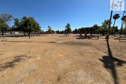 Villa a Almoradi, Alicante, Almoradi - € 218.500 | Ref: HP-FRRE-20194 - foto 32