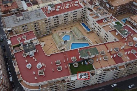 Penthouse i Torrevieja, Alicante, Torrevieja - € 159 995 | Ref: AM-02262/8919 - foto 23