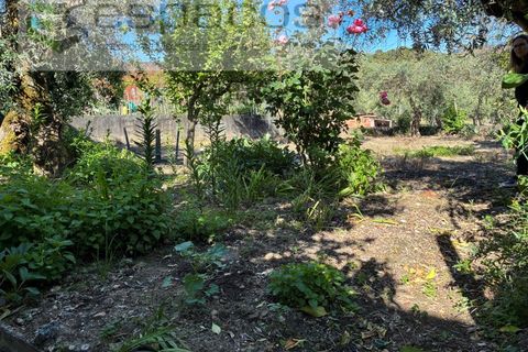 Villa a Fundao, Castelo Branco, Fundao - € 190.000 | Ref: 5812/CP - foto 46