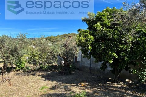 Villa a Fundao, Castelo Branco, Fundao - € 190.000 | Ref: 5812/CP - foto 48