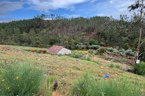 Farm i Castelo Branco, Castelo Branco, Castelo Branco - € 17.000 | Ref: 918005 - foto 1