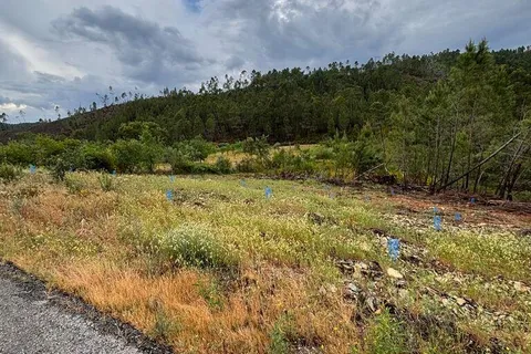 Farm i Castelo Branco, Castelo Branco, Castelo Branco - € 17.000 | Ref: 918005 - foto 4