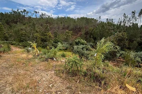 Farm i Castelo Branco, Castelo Branco, Castelo Branco - € 17.000 | Ref: 918005 - foto 5