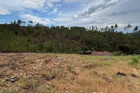 Farm i Castelo Branco, Castelo Branco, Castelo Branco - € 17.000 | Ref: 918005 - foto 7