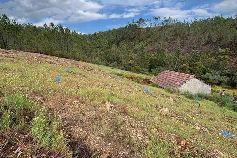 Farm i Castelo Branco, Castelo Branco, Castelo Branco - € 17.000 | Ref: 918005 - foto 11