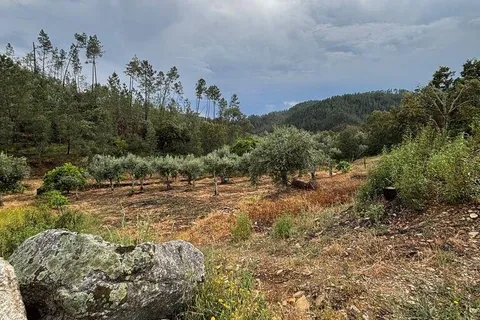 Farm i Castelo Branco, Castelo Branco, Castelo Branco - € 17.000 | Ref: 918005 - foto 13