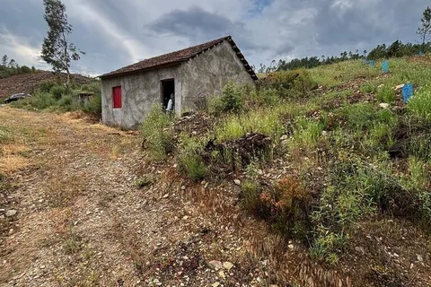 Farm i Castelo Branco, Castelo Branco, Castelo Branco - € 17.000 | Ref: 918005 - foto 15
