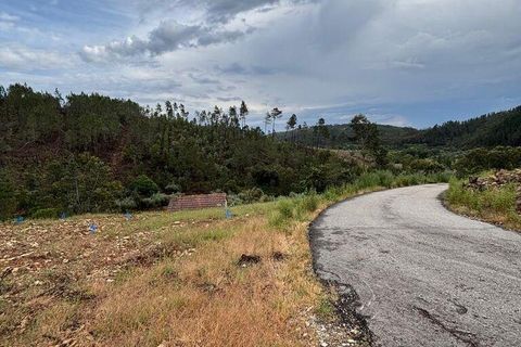 Farm i Castelo Branco, Castelo Branco, Castelo Branco - € 17.000 | Ref: 918005 - foto 16