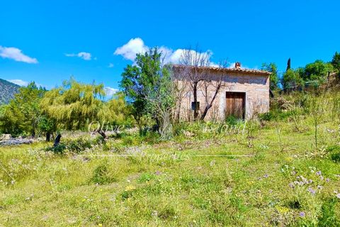 Terrain - Alaro, Mallorca, Alaro - € 195 000 | Réf : ALR619 - photo 1