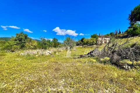 Terrain - Alaro, Mallorca, Alaro - € 195 000 | Réf : ALR619 - photo 2
