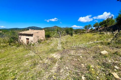 Terrain - Alaro, Mallorca, Alaro - € 195 000 | Réf : ALR619 - photo 3