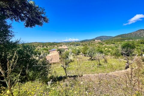 Terrain - Alaro, Mallorca, Alaro - € 195 000 | Réf : ALR619 - photo 5