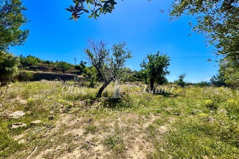 Terrain - Alaro, Mallorca, Alaro - € 195 000 | Réf : ALR619 - photo 6