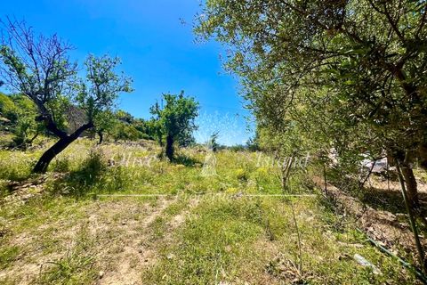 Terrain - Alaro, Mallorca, Alaro - € 195 000 | Réf : ALR619 - photo 7