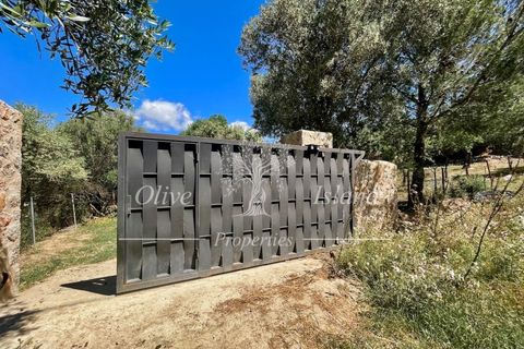 Terrain - Alaro, Mallorca, Alaro - € 195 000 | Réf : ALR619 - photo 8