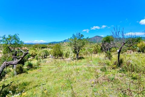 Terrain - Alaro, Mallorca, Alaro - € 195 000 | Réf : ALR619 - photo 11