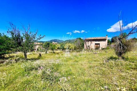 Terrain - Alaro, Mallorca, Alaro - € 195 000 | Réf : ALR619 - photo 12