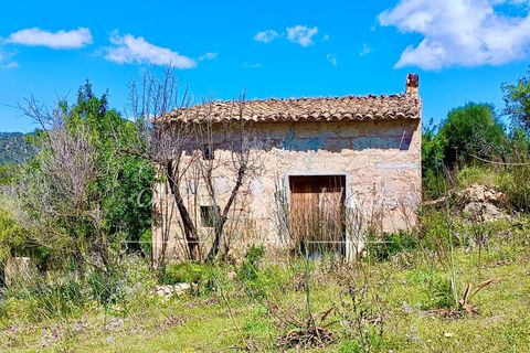 Terrain - Alaro, Mallorca, Alaro - € 195 000 | Réf : ALR619 - photo 13