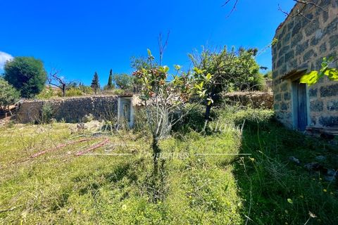 Terrain - Alaro, Mallorca, Alaro - € 195 000 | Réf : ALR619 - photo 15