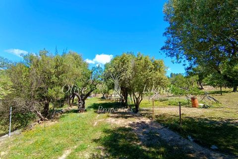 Terrain - Alaro, Mallorca, Alaro - € 195 000 | Réf : ALR619 - photo 16