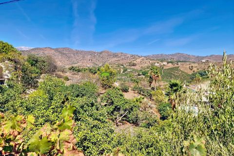 Landejendom i Velez Malaga, Malaga, Velez Malaga - € 890.000 | Ref: 8013 - foto 29