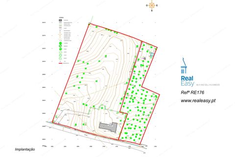 Villa a Estoi, Faro, Estoi - € 1.850.000 | Ref: RE176 - foto 43