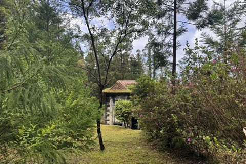 Byhus i Horta, Faial, Horta - € 80.000 | Ref: 1167 - foto 3