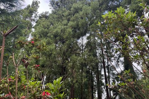 Byhus i Horta, Faial, Horta - € 80.000 | Ref: 1167 - foto 10
