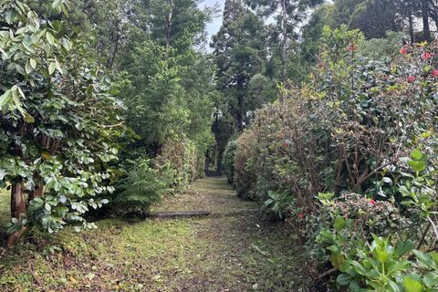 Byhus i Horta, Faial, Horta - € 80.000 | Ref: 1167 - foto 11