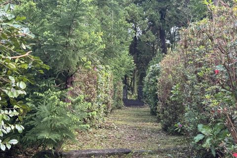 Byhus i Horta, Faial, Horta - € 80.000 | Ref: 1167 - foto 12