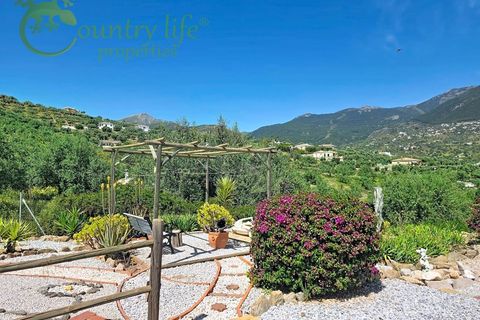 Villa a Alcaucin, Malaga, Alcaucin - € 339.000 | Ref: ALC187 - foto 35