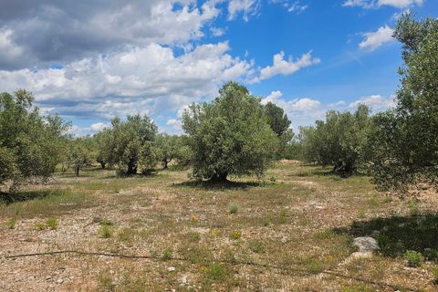 Landejendom i Navarres, Valencia, Navarres - € 185.000 | Ref: EB15250 - foto 41