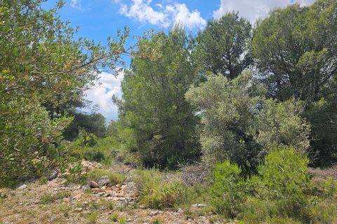 Landejendom i Navarres, Valencia, Navarres - € 185.000 | Ref: EB15250 - foto 43