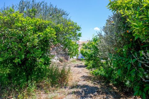 Villa i Odemira, Beja, Odemira - € 310.000 | Ref: ZMPT588794 - foto 20