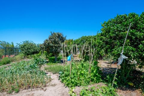 Villa i Odemira, Beja, Odemira - € 310.000 | Ref: ZMPT588794 - foto 23