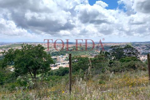 Villa i Odivelas, Lisbon, Odivelas - € 795.000 | Ref: TLD_26167_02 - foto 33