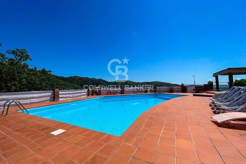 Villa a Massarosa, Lucca, Massarosa - € 1.000.000 | Ref: CBI129-1912-130084 - foto 15