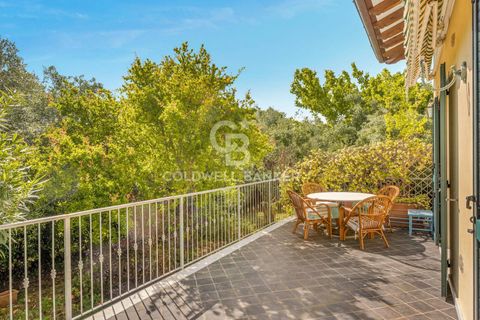 Villa en Seravezza, Lucca, Seravezza - € 880.000 | Ref: CBI129-2046-130627 - photo 9