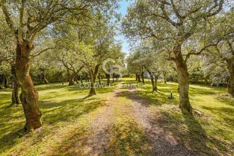 Villa en Seravezza, Lucca, Seravezza - € 880.000 | Ref: CBI129-2046-130627 - photo 20