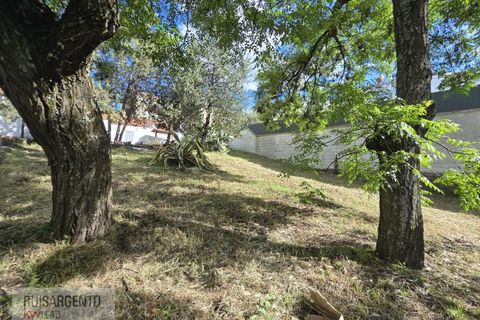 Lejlighed i Castelo Branco, Castelo Branco, Castelo Branco - € 159.900 | Ref: APA_265RS160526 - foto 32