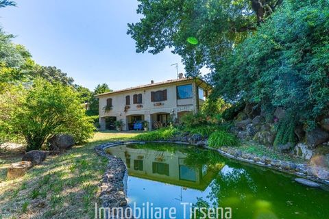 Villa a Orvieto, Terni, Orvieto - € 490.000 | Ref: VL145 - foto 2