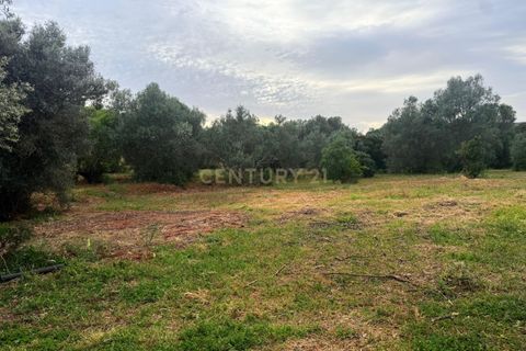 Villa i Olhao, Faro, Olhao - € 485.000 | Ref: C0454-00181 - foto 9