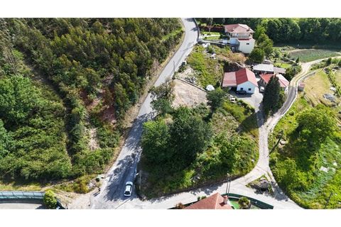 Terra a Revinhade, Porto, Revinhade - € 75.000 | Ref: TER_281 - foto 3