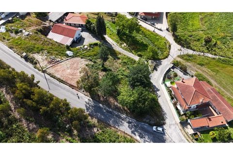 Terra a Revinhade, Porto, Revinhade - € 75.000 | Ref: TER_281 - foto 5