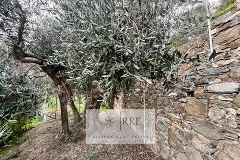 Leilighet i Laigueglia, Savona, Laigueglia - € 390 000 | Ref: 38601013-89 - foto 27