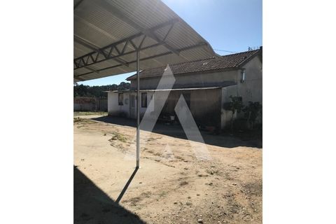 Helårsgrund i Oliveira do Bairro, Aveiro, Oliveira do Bairro - € 372.000 | Ref: 1030996/26BL - foto 4