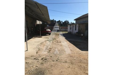 Helårsgrund i Oliveira do Bairro, Aveiro, Oliveira do Bairro - € 372.000 | Ref: 1030996/26BL - foto 5